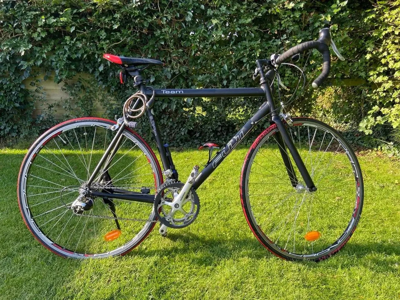 Billede 1 - Fuji . 28" Hjul, 58 cm stel, 16 gear