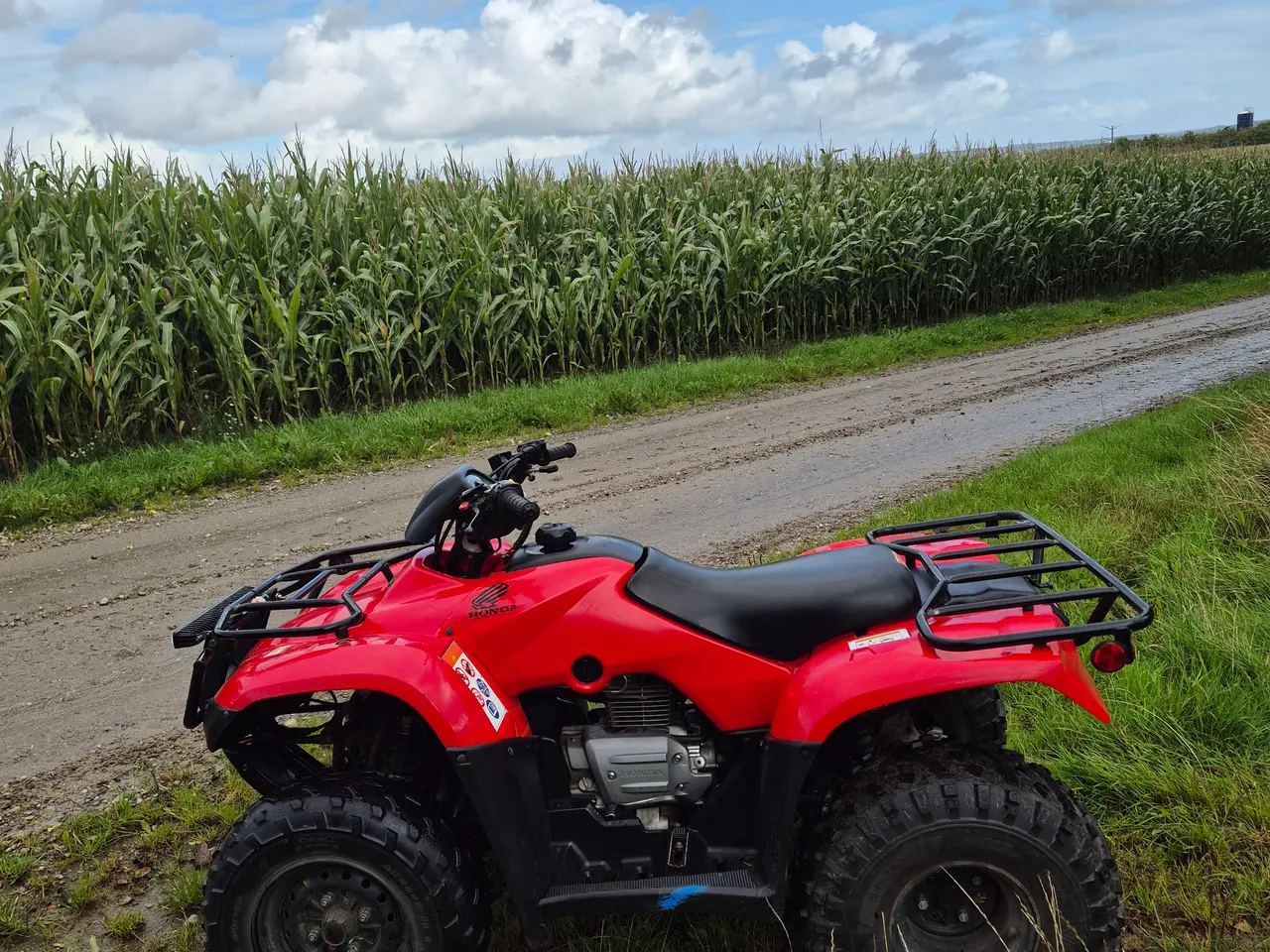 Billede 3 - Honda TRX250 2019
