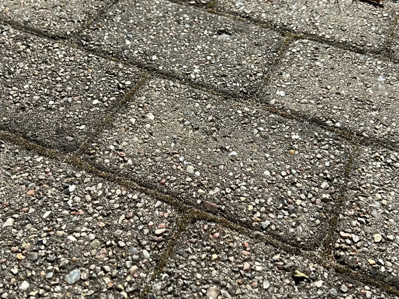 Billede 3 - GRATIS! Herregårdssten / bondesten - IBF. 