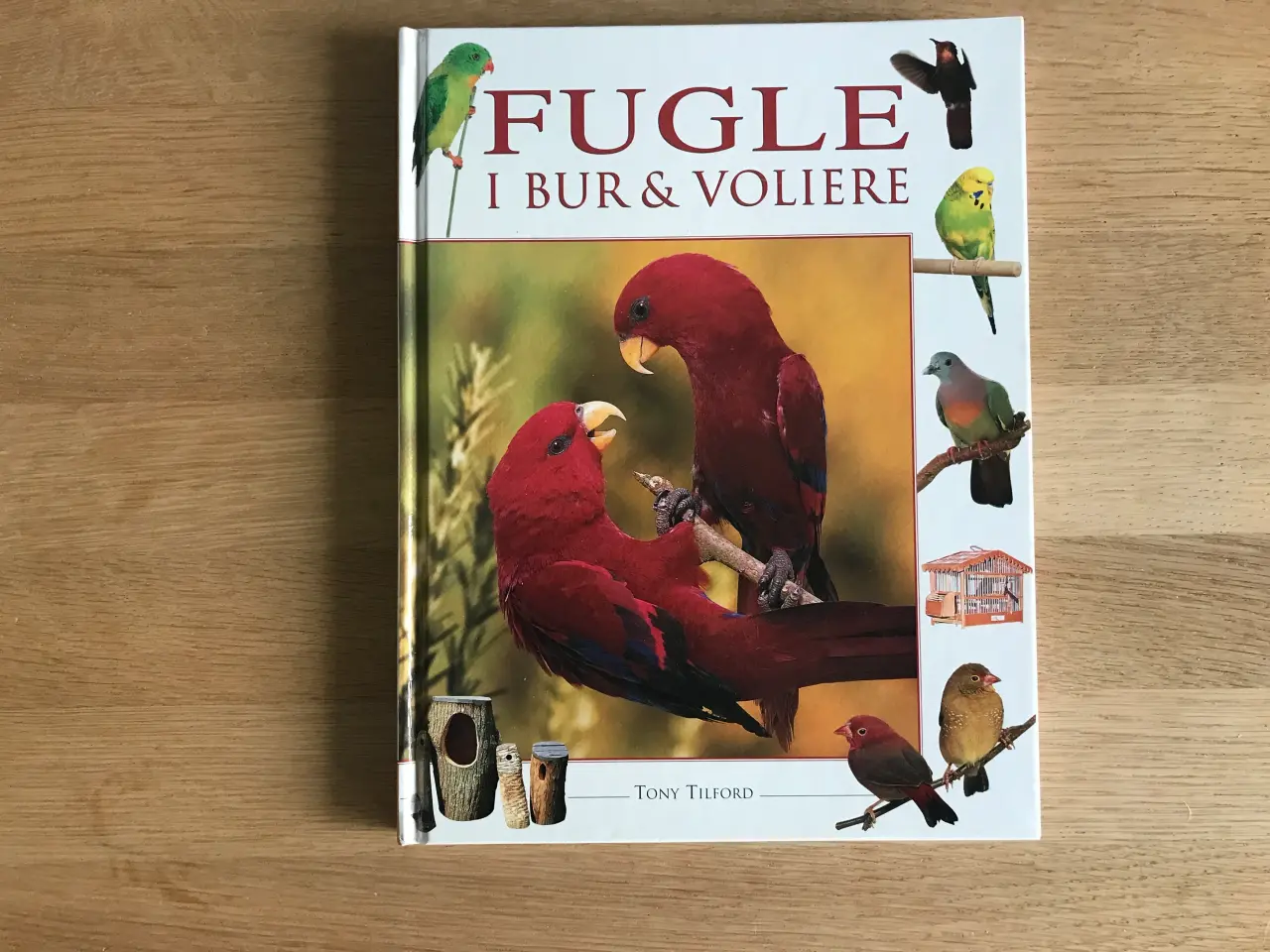 Billede 1 - Fugle i Bur & Voliere af Tony Tilford