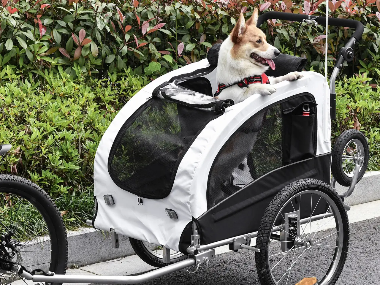 Billede 2 - Cykelanhænger / Jogger Til Hunden