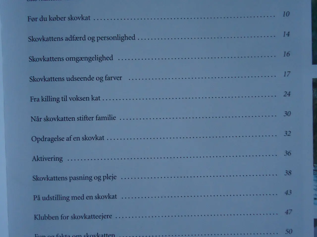 Billede 2 - Norsk Skovkat - bog []