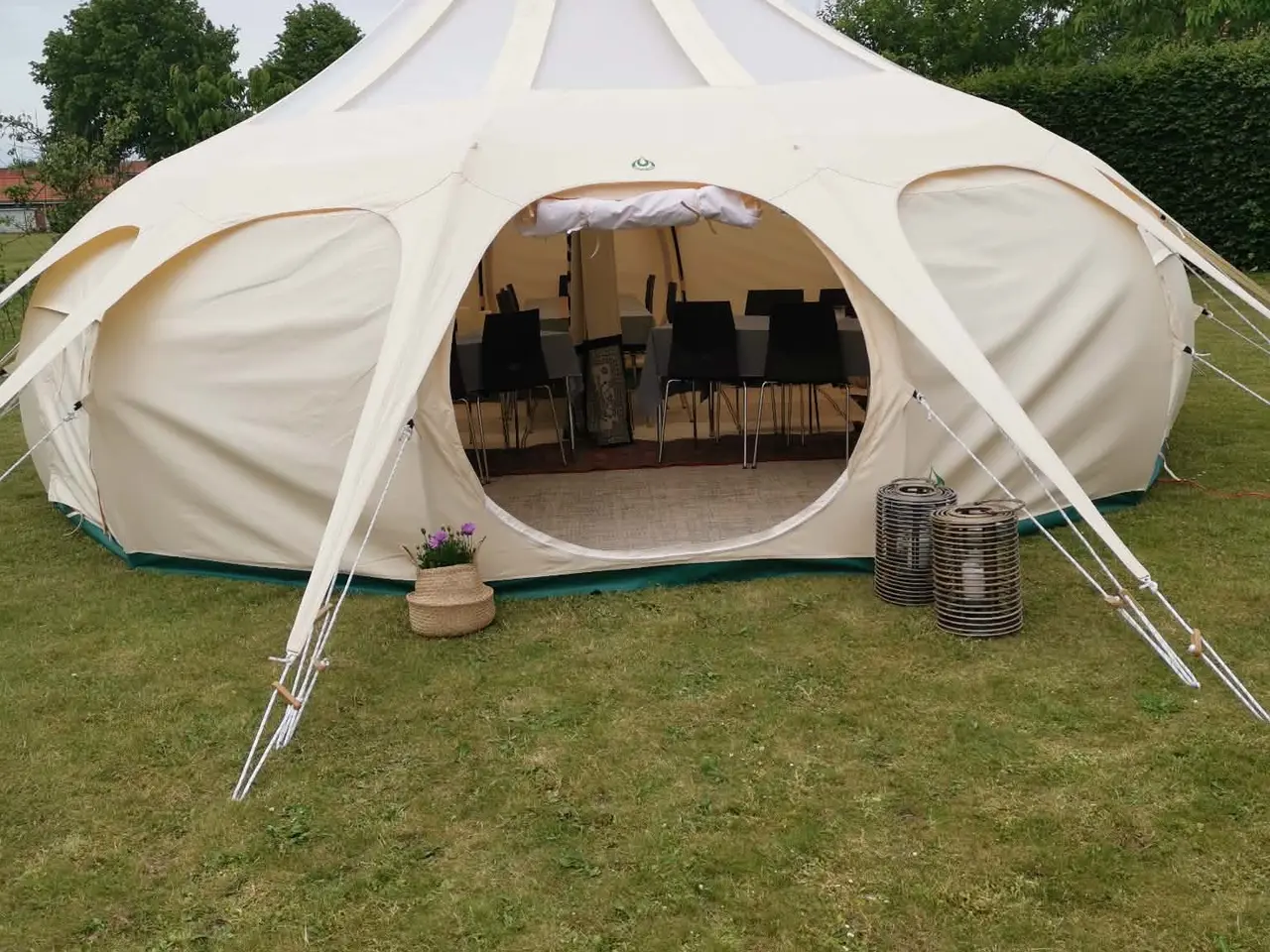 Billede 4 - Lotus Belle Stargazer 6 m