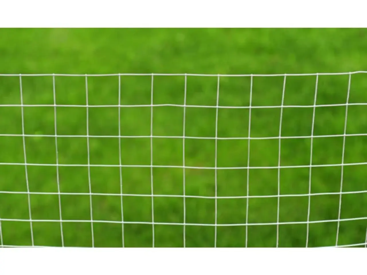 Billede 4 - Trådnet i galvaniseret stål 1 x 25 m - sølvfarvet