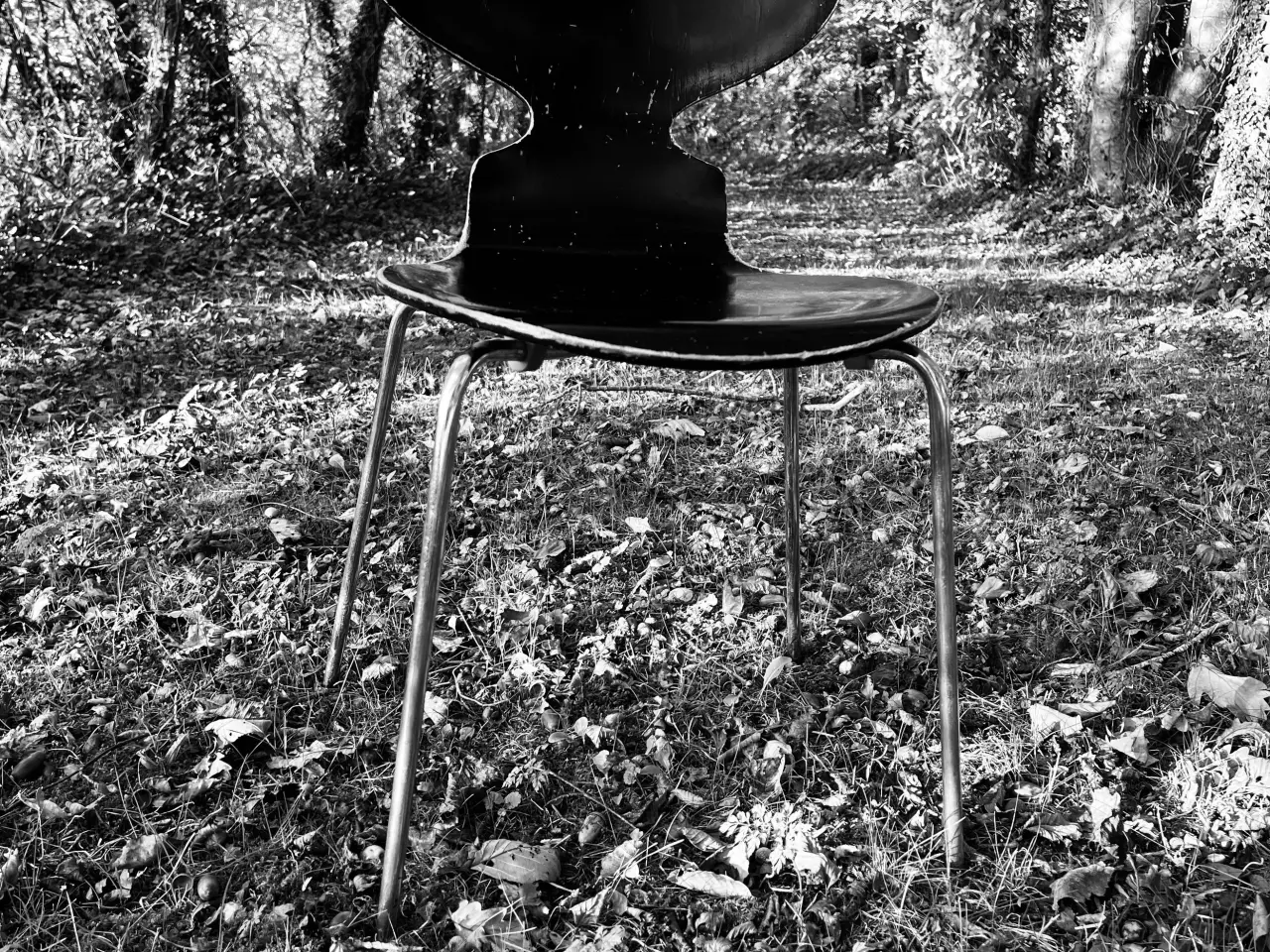 Billede 1 - Myren stol model 3101 – Arne Jacobsen