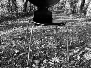 Myren stol model 3101 – Arne Jacobsen