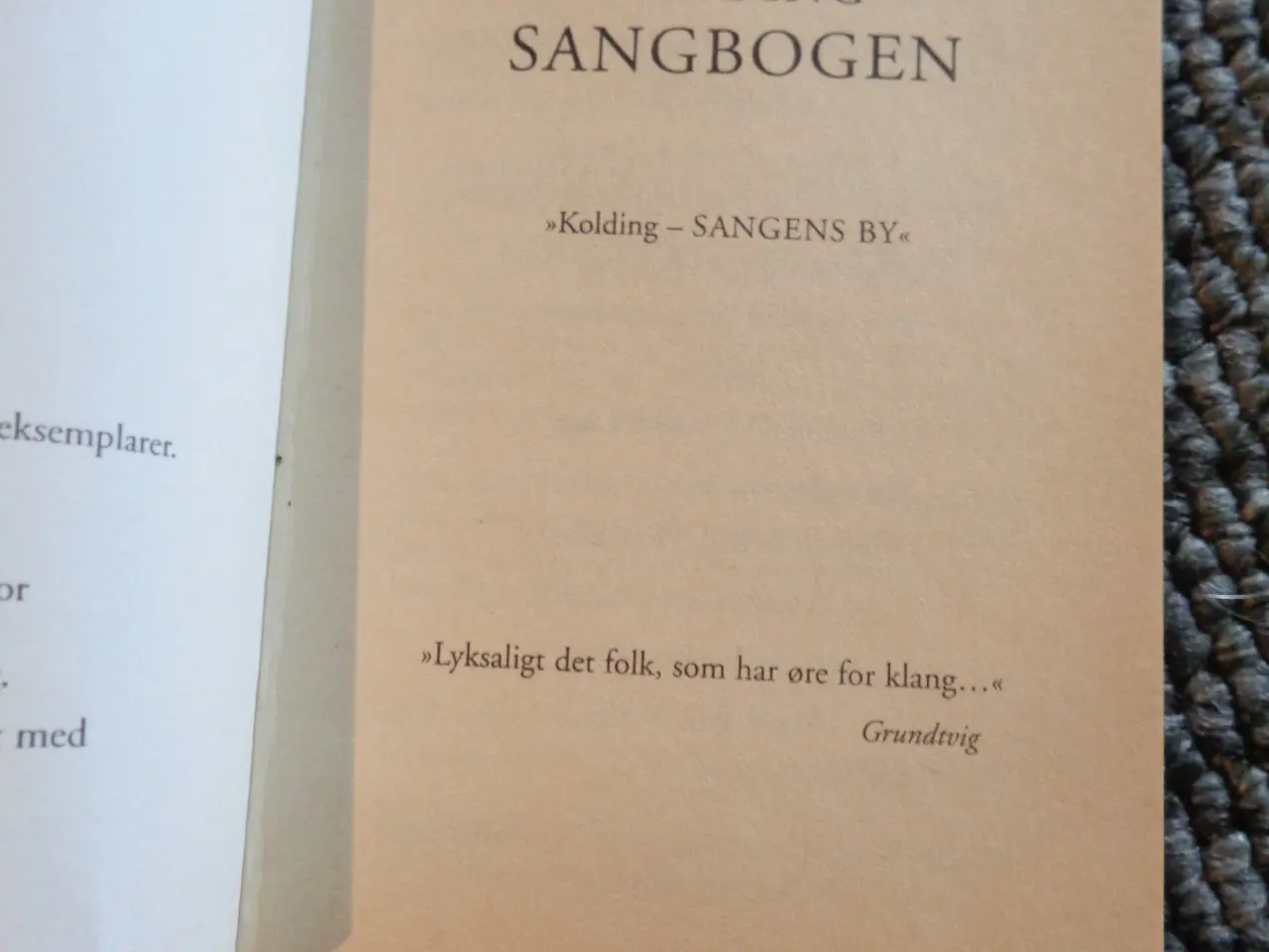 Billede 3 - Sangens by