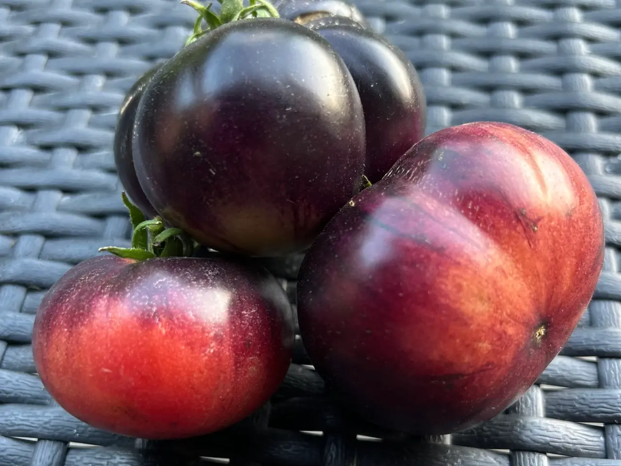 Billede 3 - Sunde frø af STORE tomater 🍅