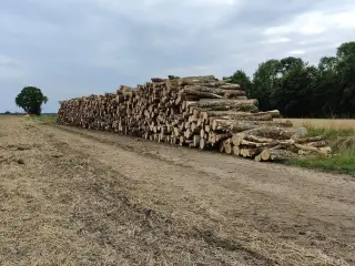Så er der igen brænde på lager til hurtig levering