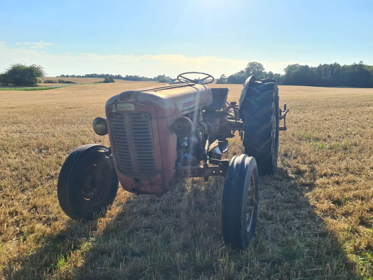 Billede 2 - FE35 Ferguson Guldfugl MF35
