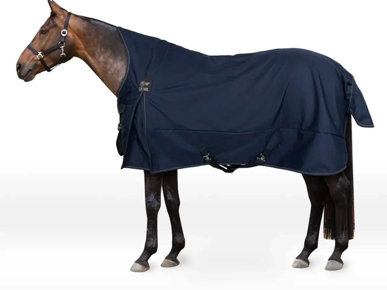 Billede 1 - Regndækken horse avlanche 145