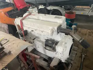 Ford Marinemotor