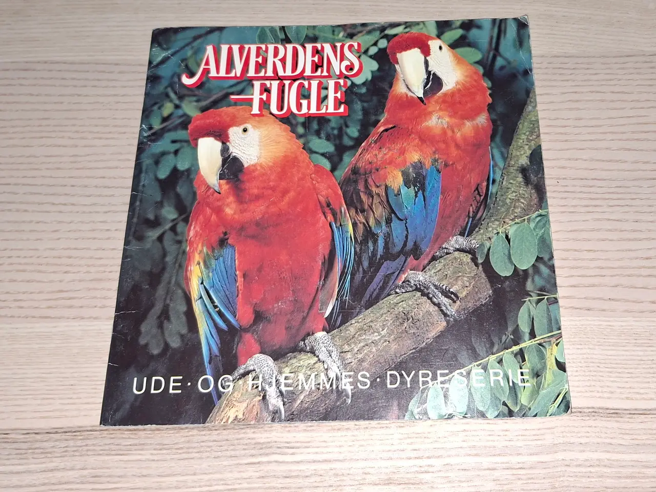 Billede 13 - Alverdens ordsprog og talemåder