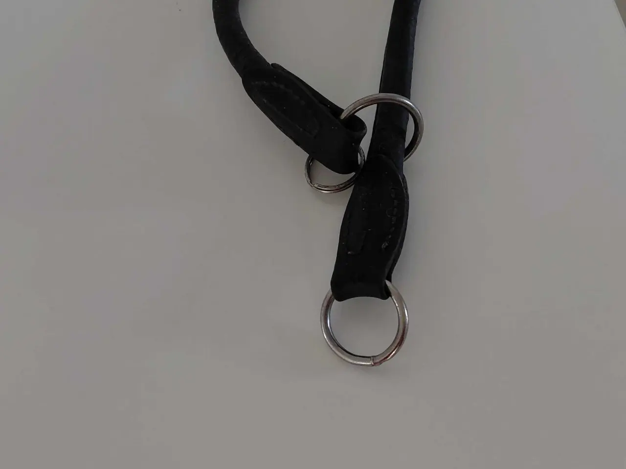 Billede 1 - Hundesele snor flex halsbånd