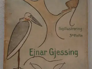 Ejnar Gjessing: Zoologi.Fagillustrering 3. 1916