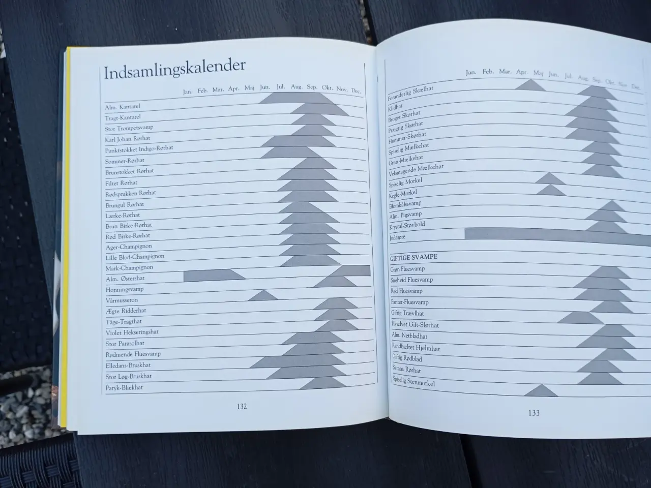 Billede 14 - Poiltikens Svampe Kogebog