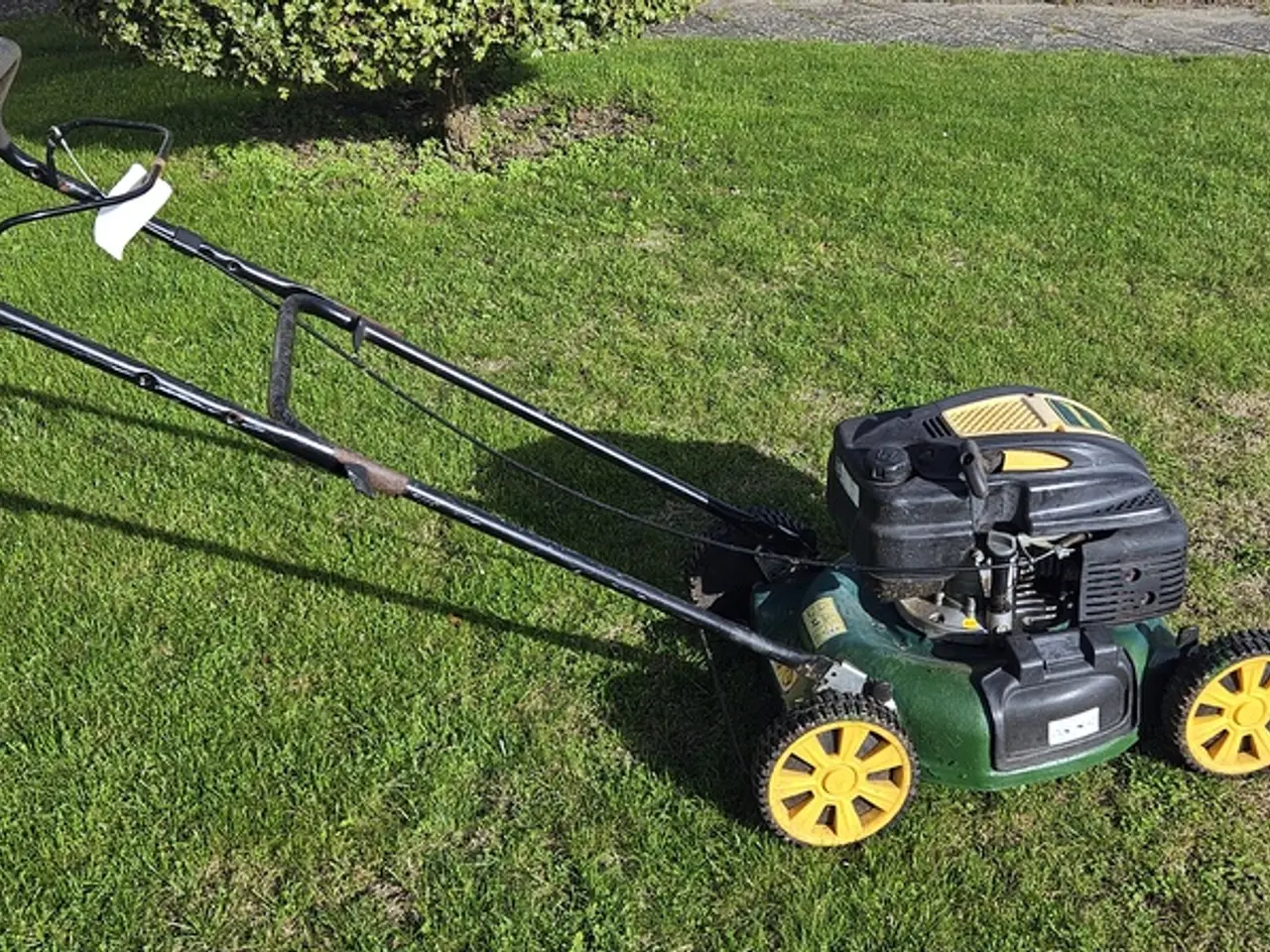 Billede 1 - Yard-man rotorklipper