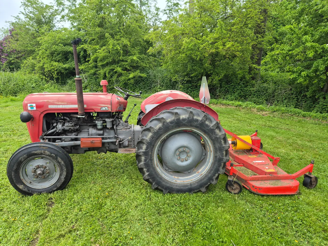 Billede 6 - Massey-Fergusoner