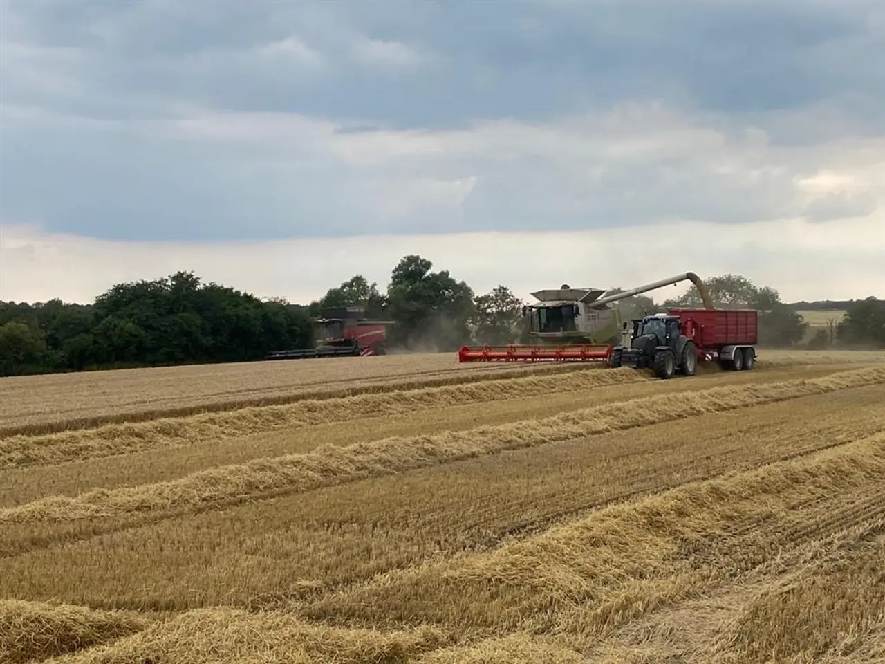 Billede 11 - New Holland MEJETÆRSKER KØBES