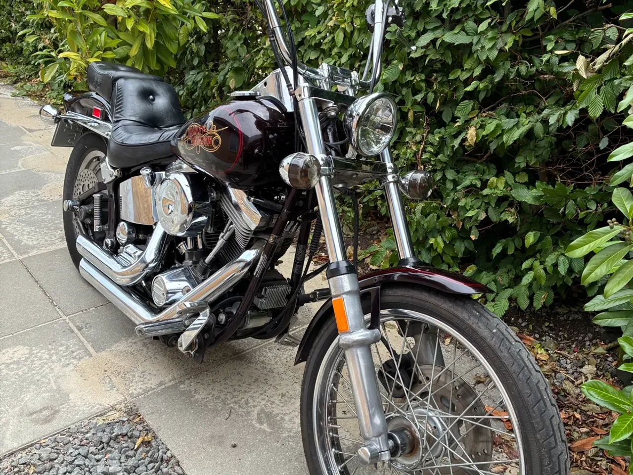 Billede 2 - Harley
