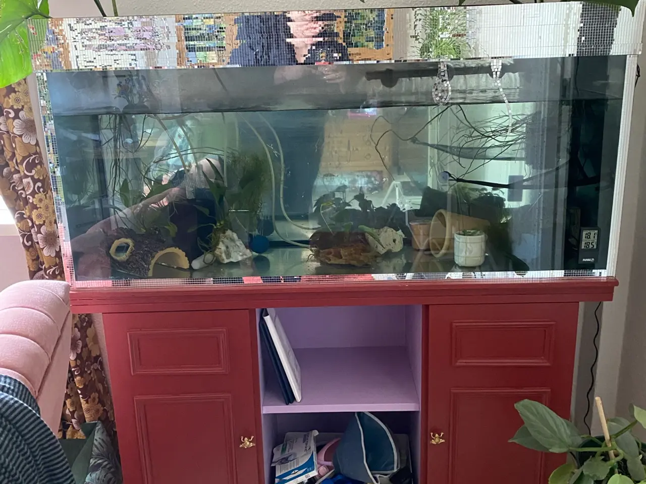Billede 3 - Akvarie m. Tilbehør - perfekt til axolotler