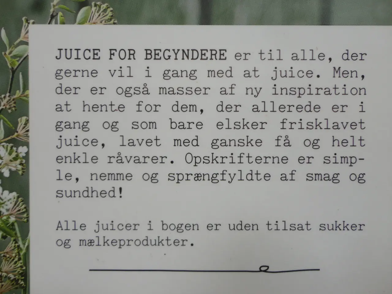 Billede 3 - Juice & Madpakke :