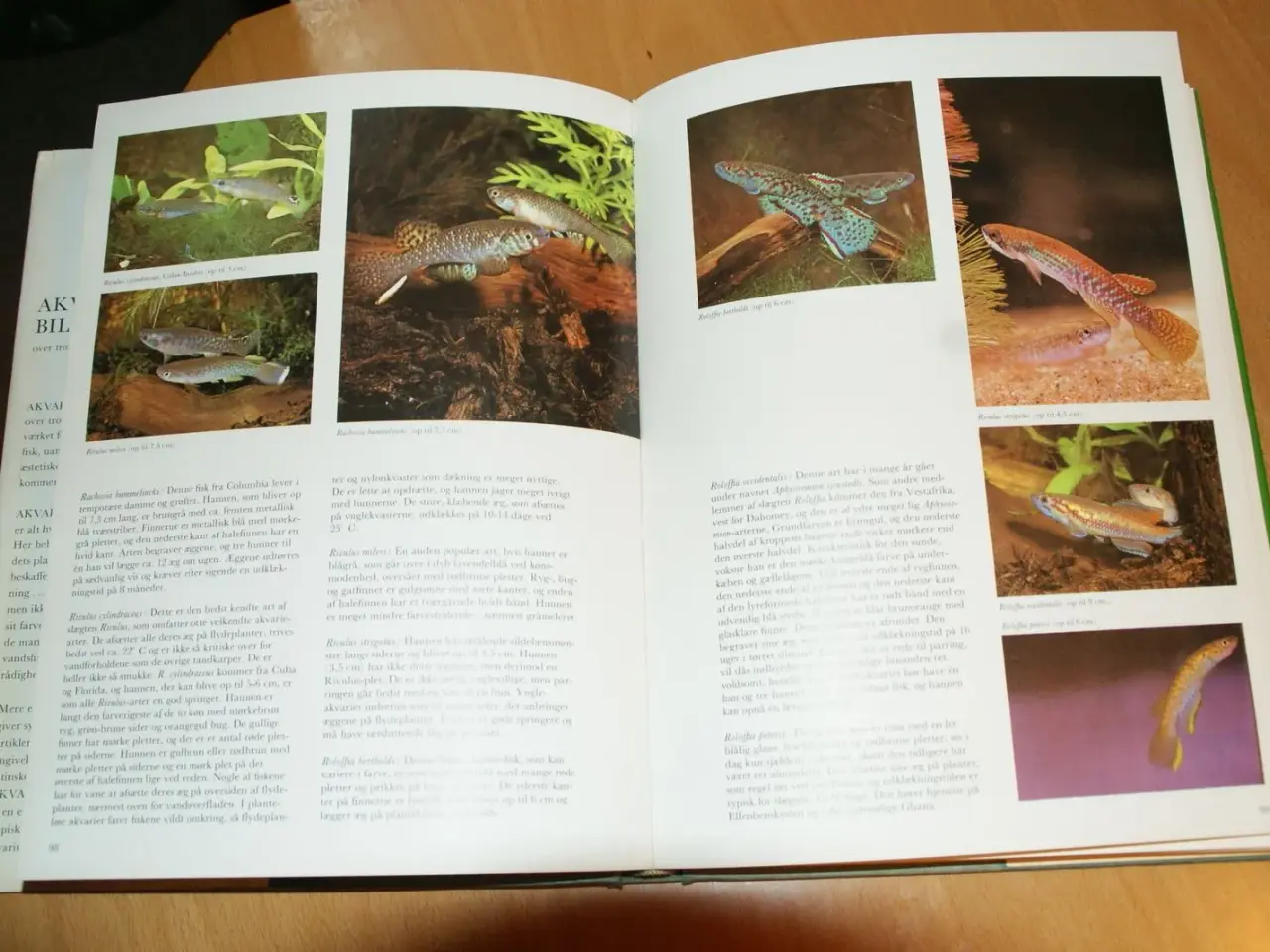 Billede 2 - Akvaristens Billedhåndbog