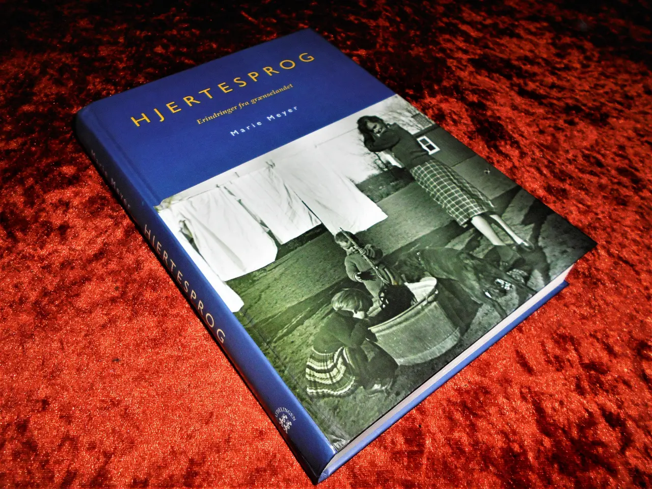 Billede 1 - Hjertesprog, Marie Meyer
