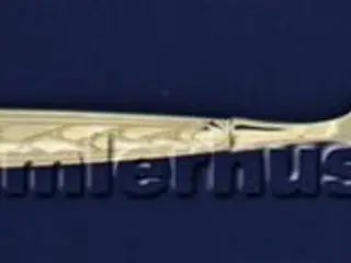 Pan Middagsgaffel, 19 cm.