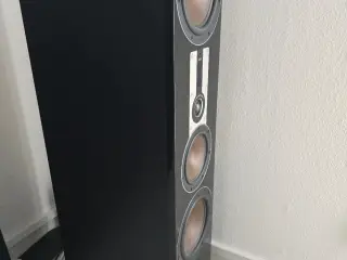 Dali Opticon 8