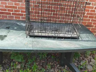 Hundebur