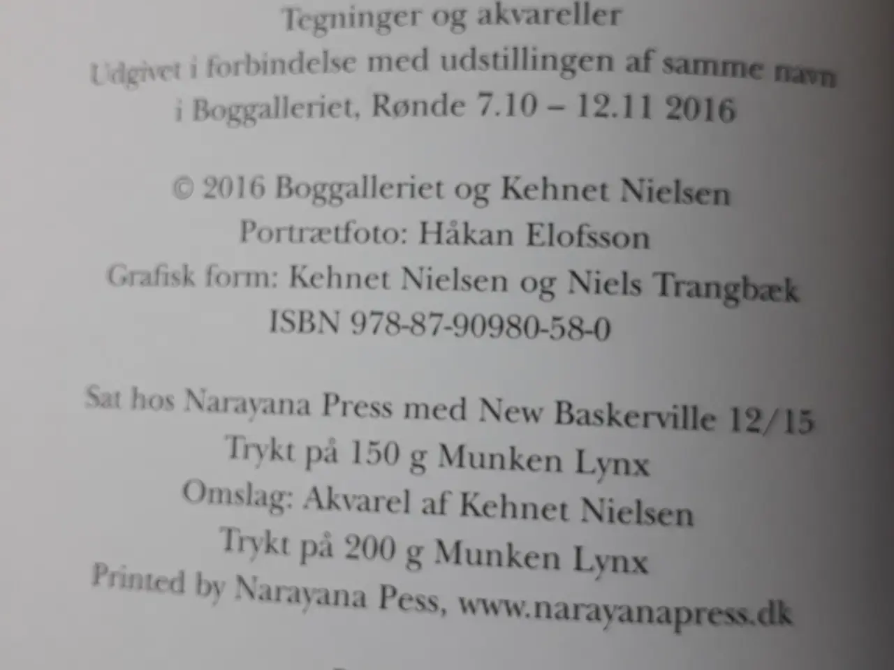 Billede 4 - Kehnet Nielsen - Tegningens arabesk