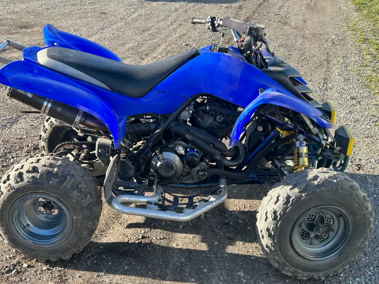 Billede 3 - Raptor