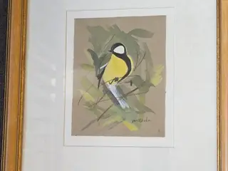 Original akvarel af Jan Rhodin fuglemotiv