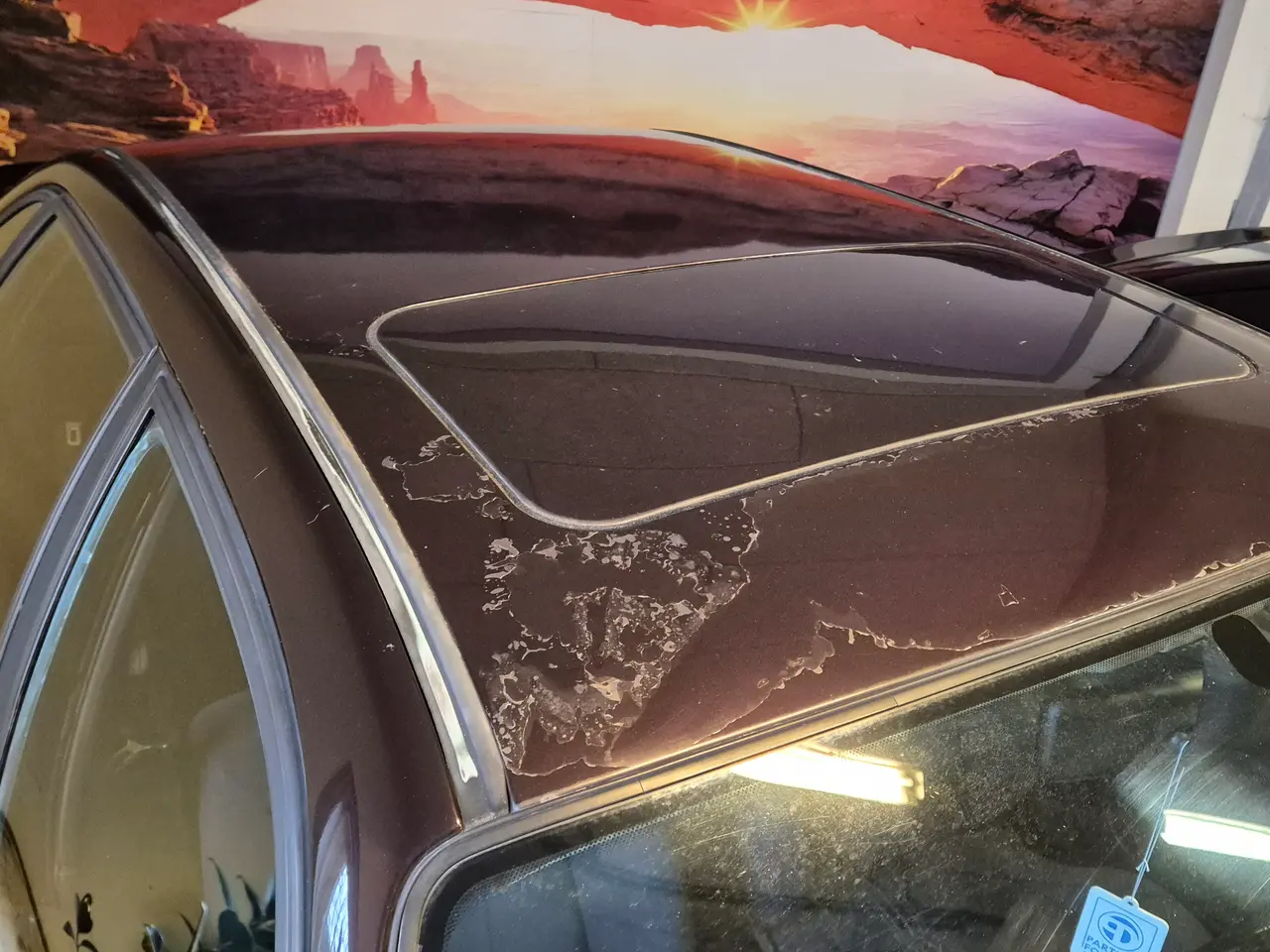 Billede 6 - VW Passat B3 Edition One