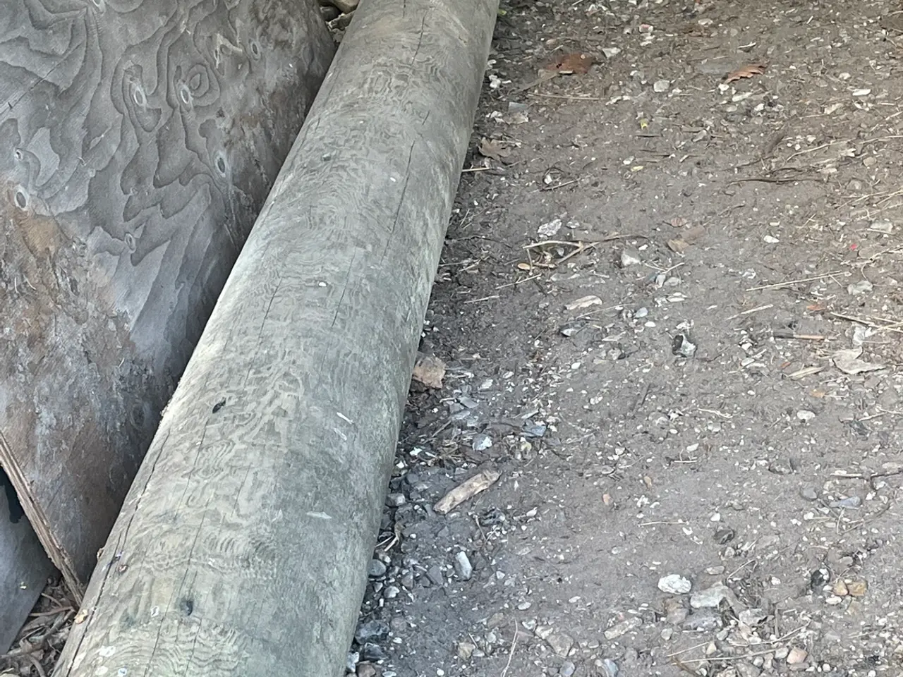 Billede 3 - Trykimprægneret stolpe ø275mm