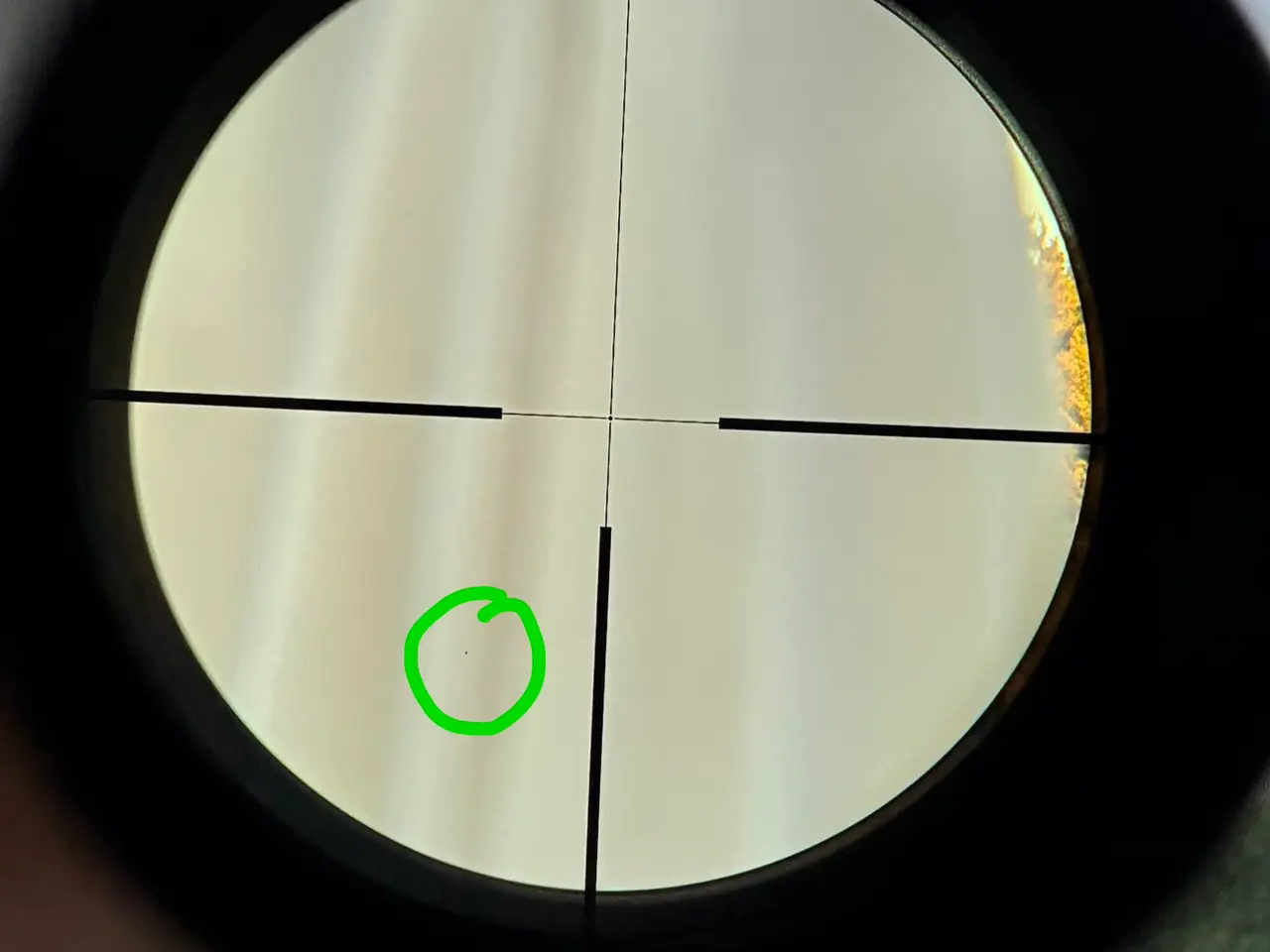 Billede 8 - Zeiss Diavari Victory 6-24x72 m. ASV