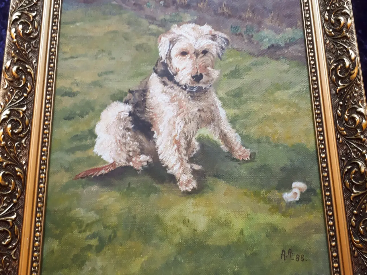 Billede 7 - Oliemaleri Ruhåret Foxterrier