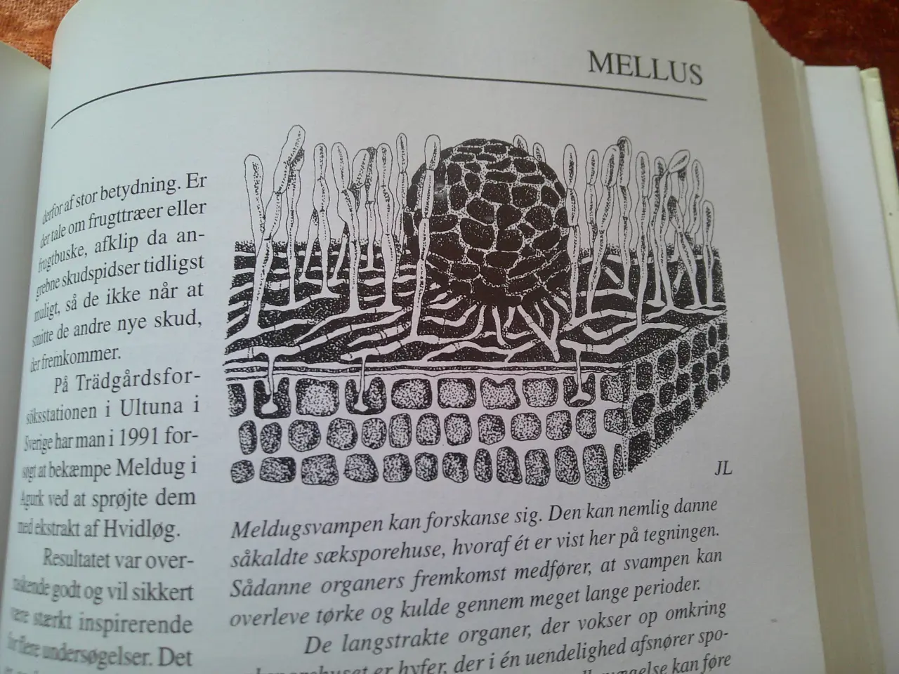 Billede 4 - Den grønne bog, Frank Hejndorf