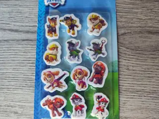 Paw Patrol 12 pak viskelædre *NY*