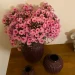 Blomst