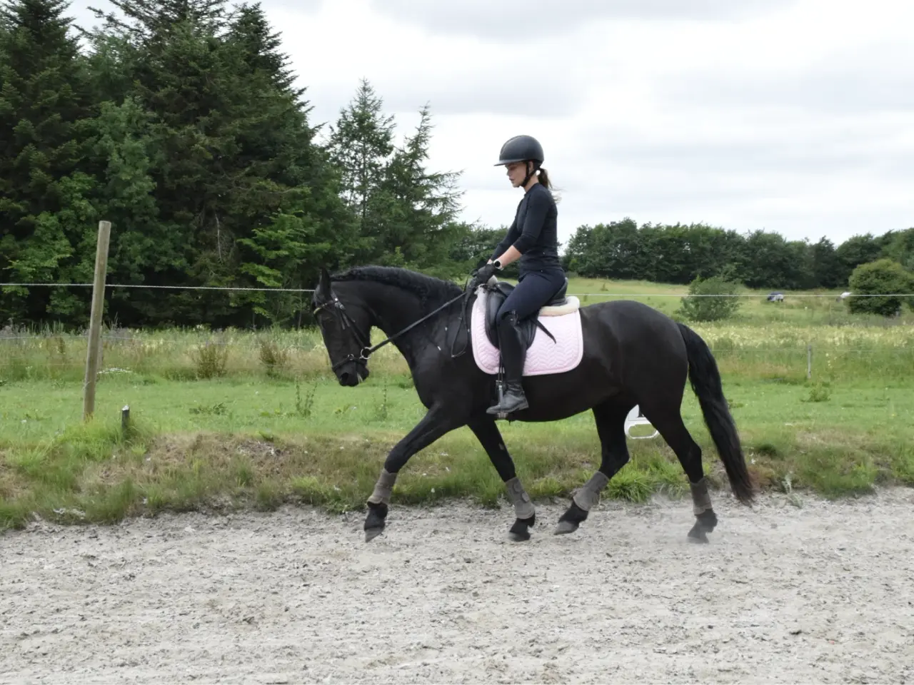 Billede 9 - Halv frieser halv pony