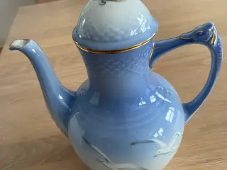 Kaffekande - mågestel