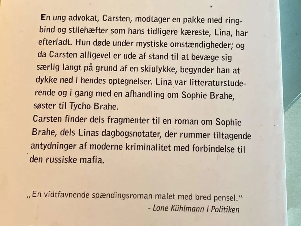 Billede 2 - Når fisken fanger solen