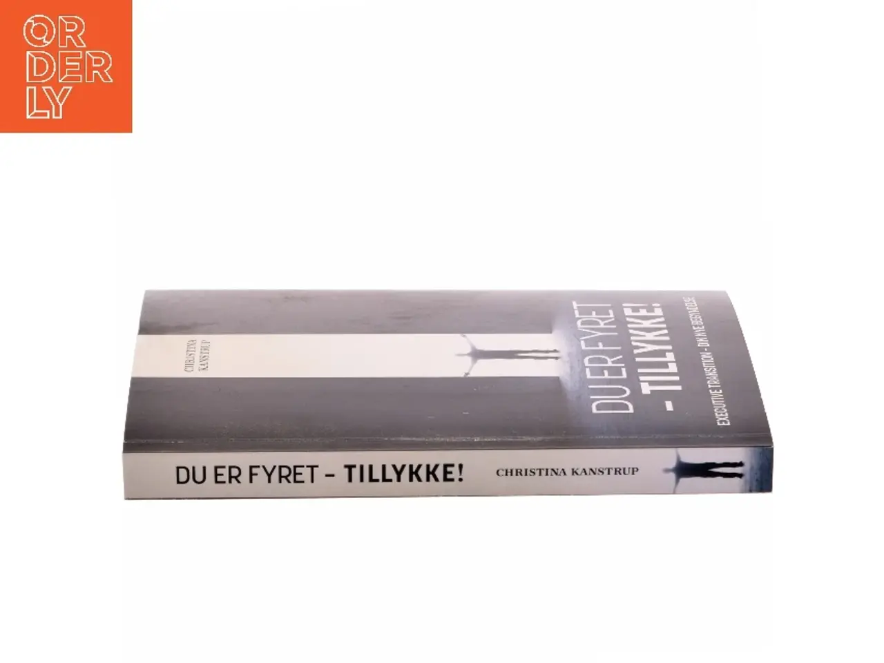 Billede 2 - Du er fyret - tillykke! : executive transition - din nye begyndelse af Christina Kanstrup (Bog)