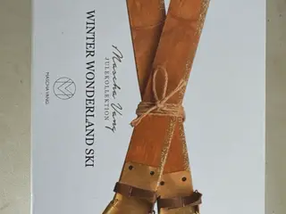 Jule pynt Ski