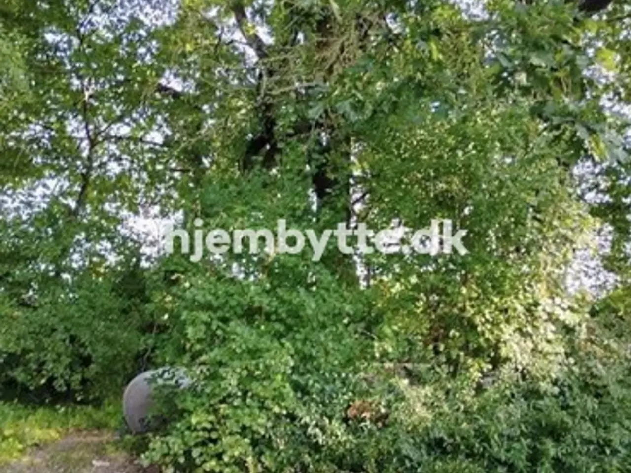 Billede 6 - Hjembytte - Rugskellet