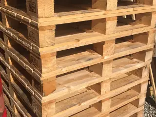 Træ paller - den store størrelse