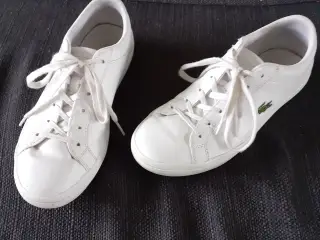 Lacoste sko str 39