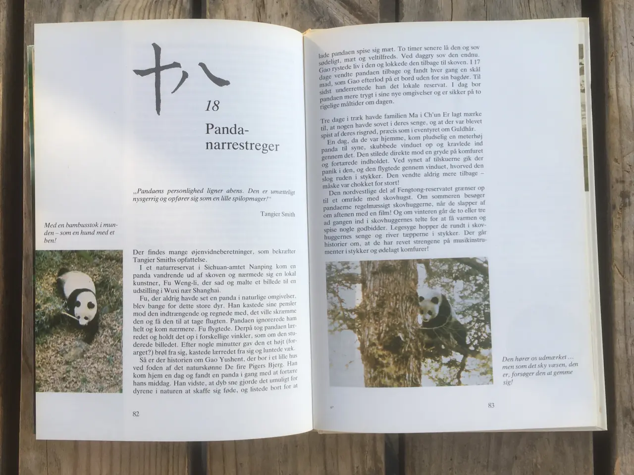 Billede 4 - Den fantastiske store panda, Michael de Havilland